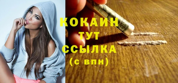 ПСИЛОЦИБИНОВЫЕ ГРИБЫ Елизово